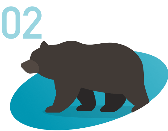 02 クマ出没を検知