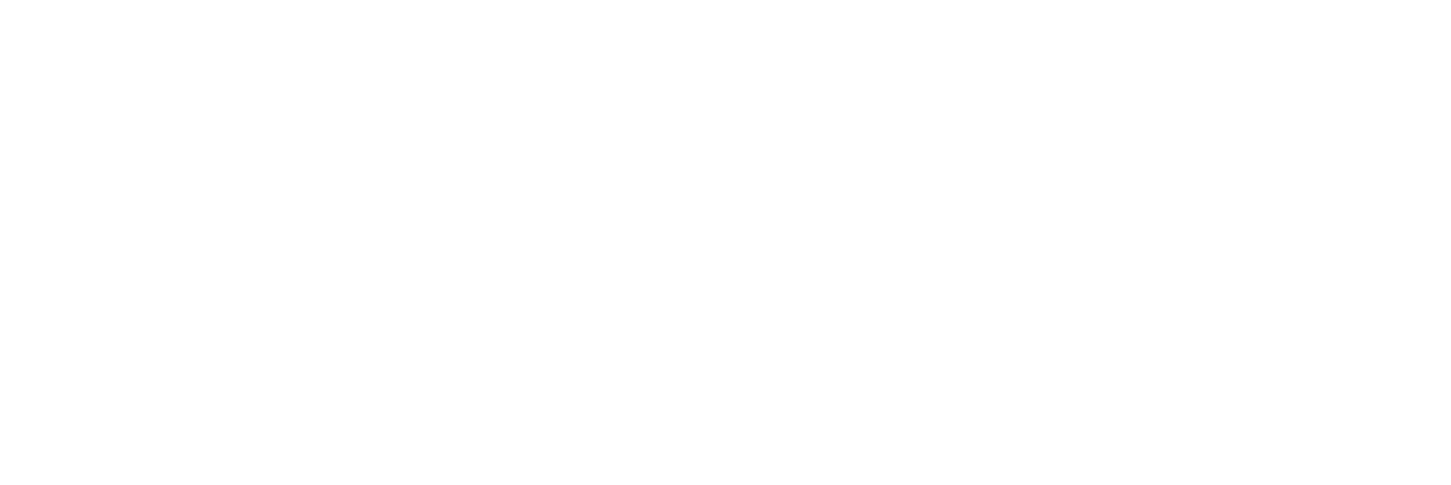 セーフィー